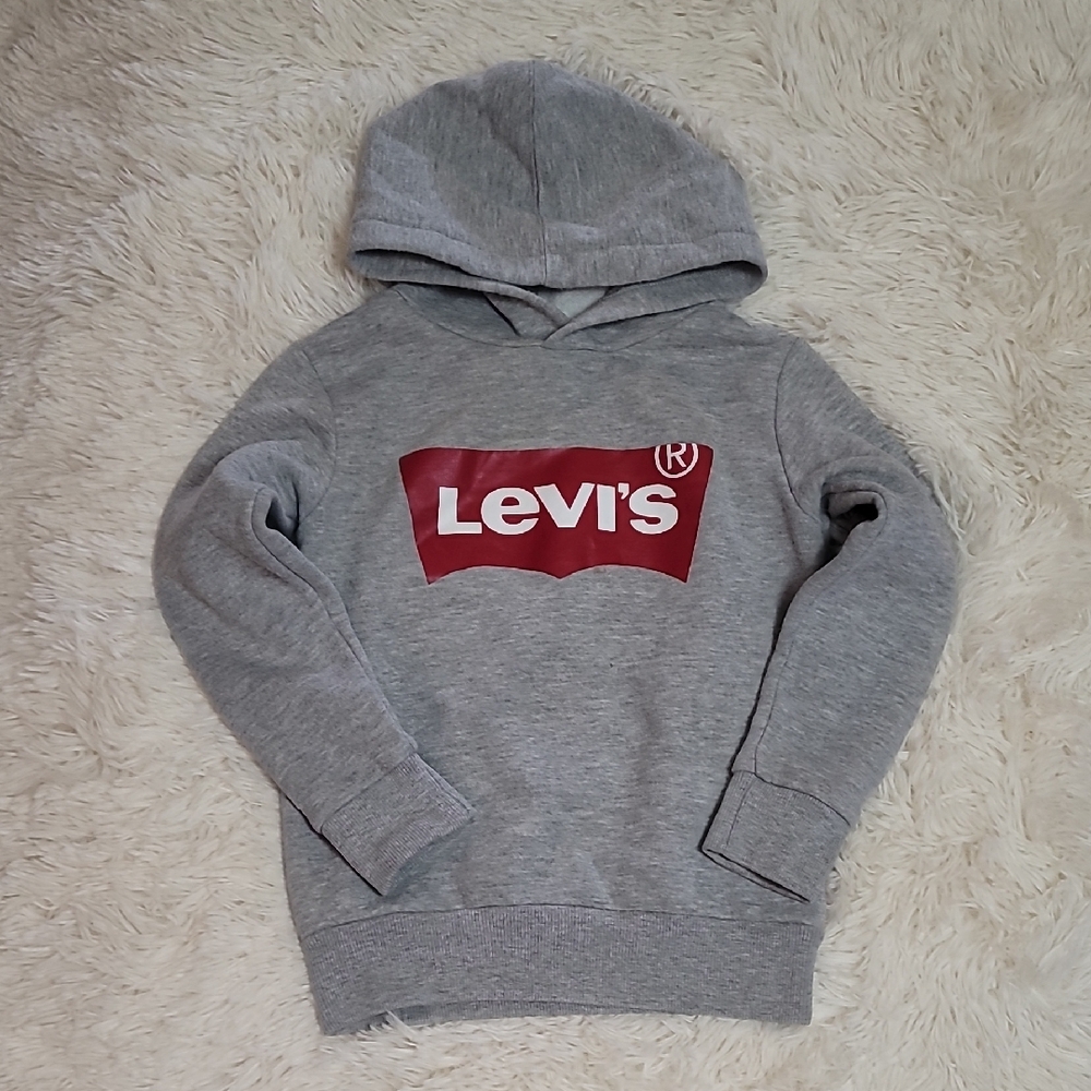 Levi's, Gray, Sweatshirt with Iconic Logo and Hood, Unisex, Size 6, Small, Kids